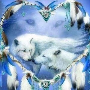 Meet your Posher, Dustin